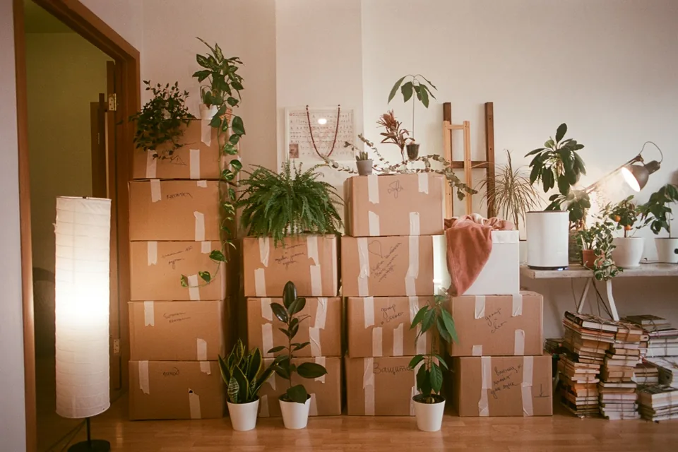 Household items and boxes staged for pickup and haul-away
